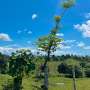 Best Time for a Jeep Tour in Punta Cana | Seasonal Weather Guide