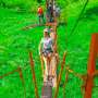 Top 5 Reasons to Book a Punta Cana Jeep Safari | Culture & Adventure